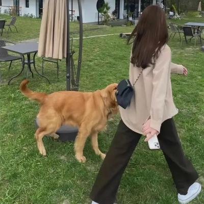 吹梦巨人